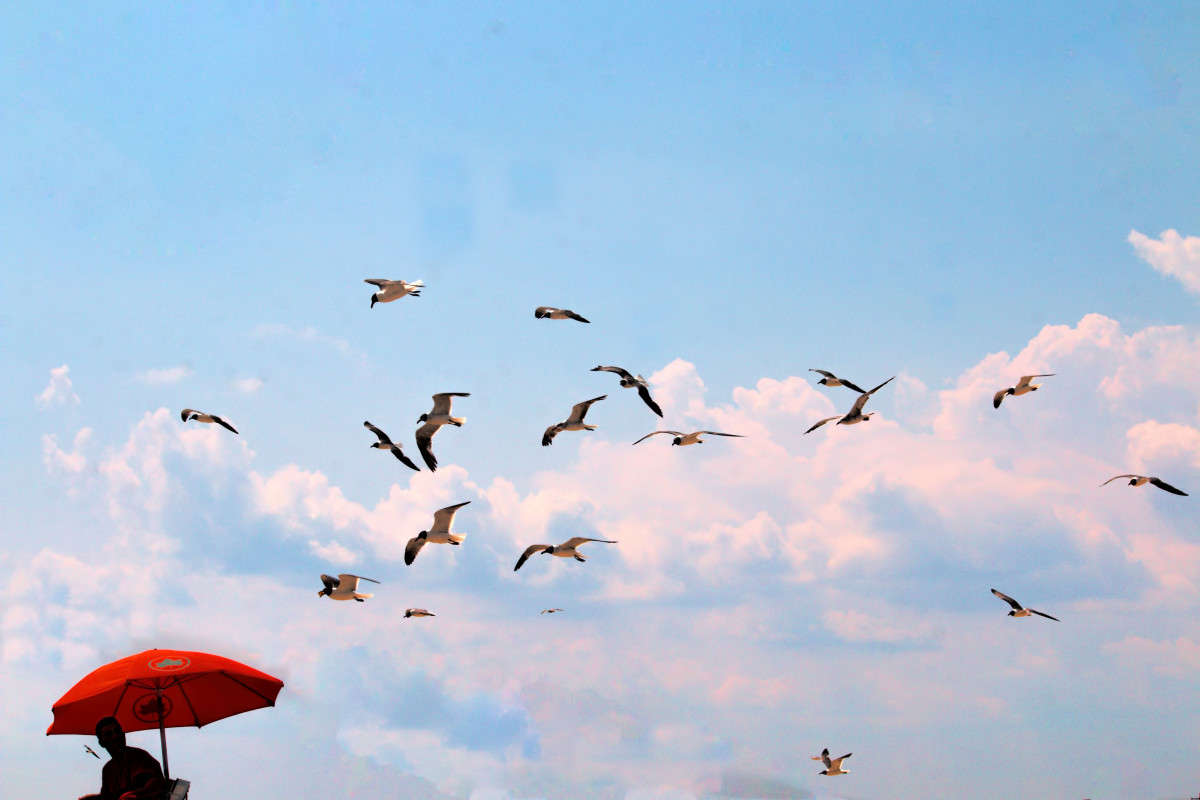 �. ������. "�����" ��������� ������ ����� ���� ��������� �� PhotoGeek.ru #�������� ��� #������ ��� ������� #��������� #������