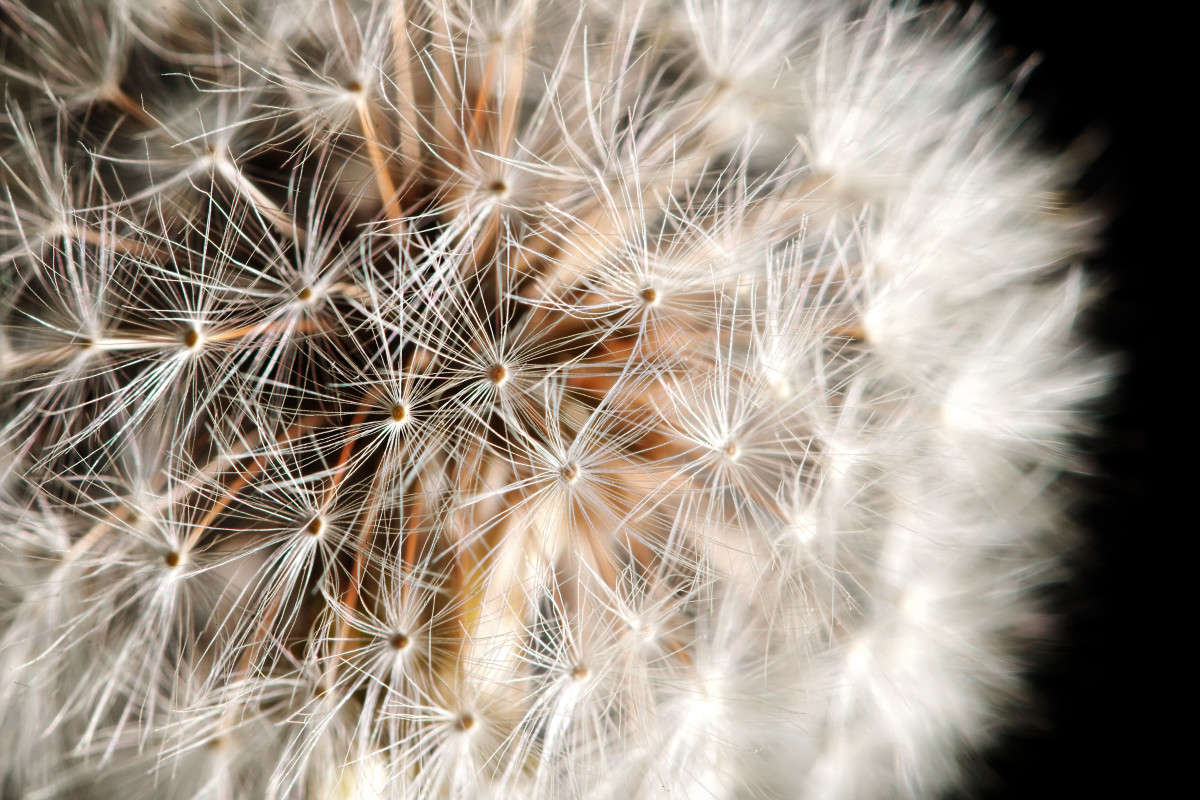 ���������! �� ������! ����� ���� ��������� �� PhotoGeek.ru #����� #������ ��� ������� #����� ��������������