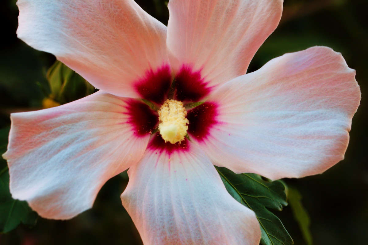 ... ����� ���� ��������� �� PhotoGeek.ru #������ ��� ������� #����� ��������������