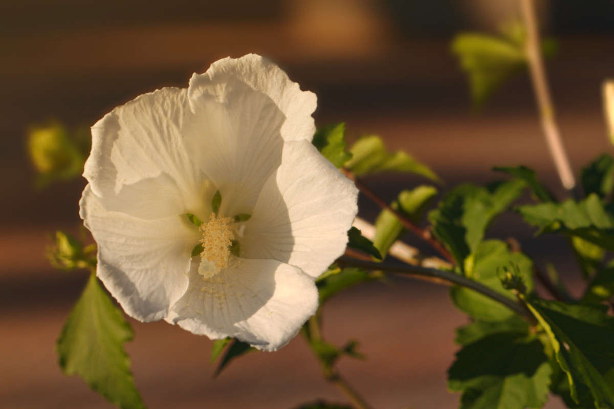 ... ����� ���� ��������� �� PhotoGeek.ru #������ ��� ������� #����� �������������� #������