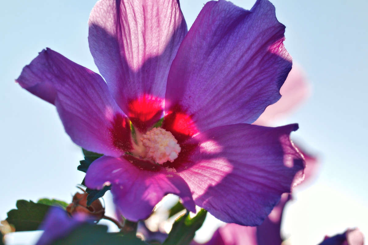 �� �������� ����� ���� ��������� �� PhotoGeek.ru #������ ��� ������� #����� �������������� #����������