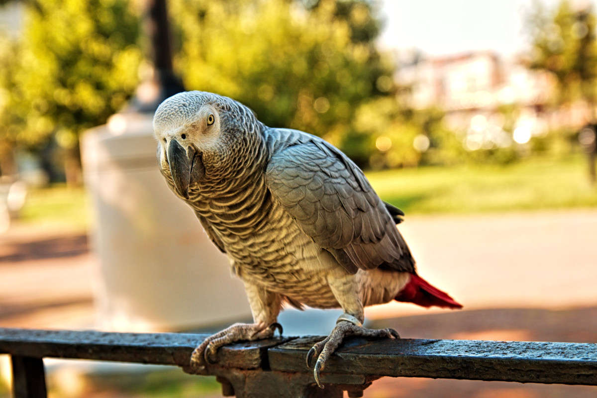 ���� ����� ���� ��������� �� PhotoGeek.ru #�������� ��� #�������� ��� #����