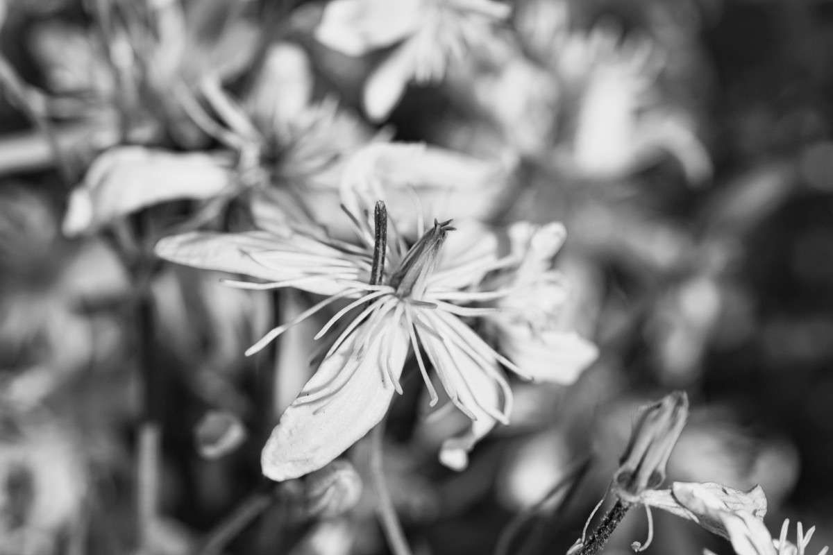 ... ����� ���� ��������� �� PhotoGeek.ru #����� #����� �������������� #�����-�����