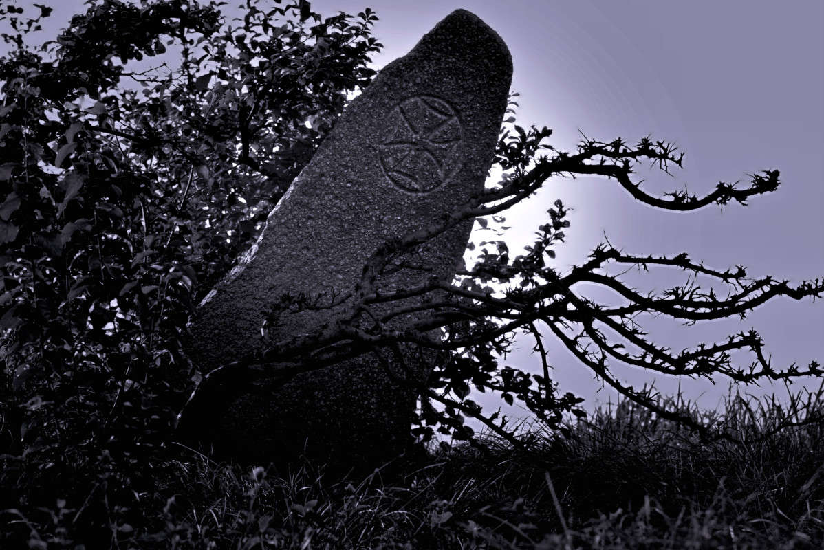 ������ - �� ������? ����� ���� ��������� �� PhotoGeek.ru #����� #������ ��� ������� #������ ���� #��������� #����