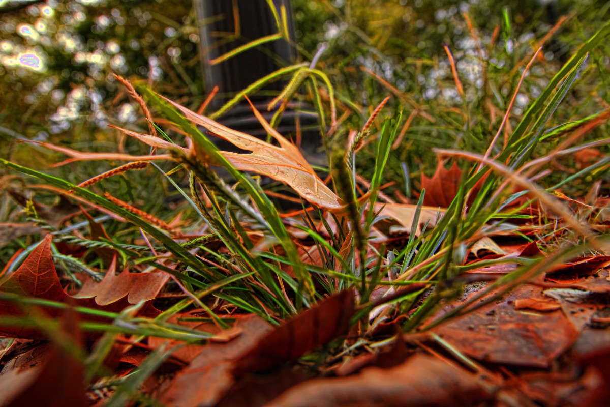 � ����� � ������� ����� ���� ��������� �� PhotoGeek.ru #������ ��� ������� #����� �������������� #����