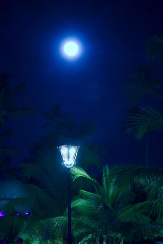 ����, �����, ������, ���� ����� ���� ��������� �� PhotoGeek.ru #������ ��� ������� #��������� #������