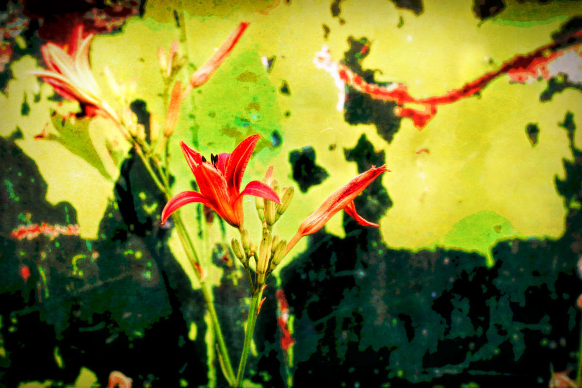 ����� �� ������� ����� ���� ��������� �� PhotoGeek.ru #����� #������ ��� ������� #�������� ���������� #����� �������������� #��������� #������ #�����-����