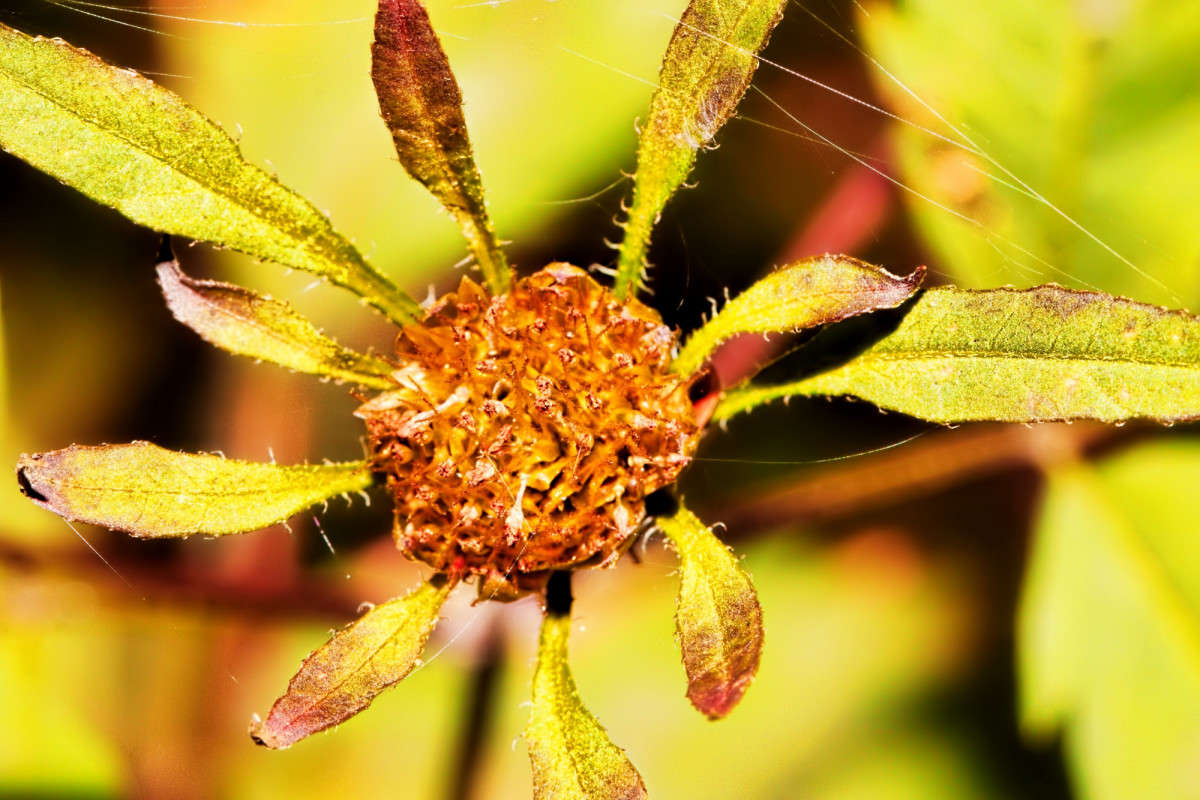 �������� ����� ���� ��������� �� PhotoGeek.ru #����� #������ ��� ������� #����� ��������������