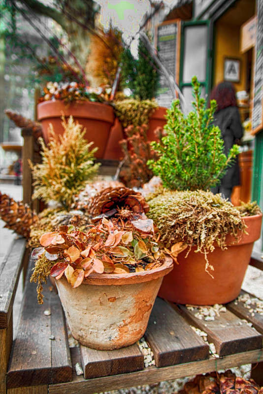 �������������� ����� ���� ��������� �� PhotoGeek.ru #�������� ���������� #��������������� #�����-����
