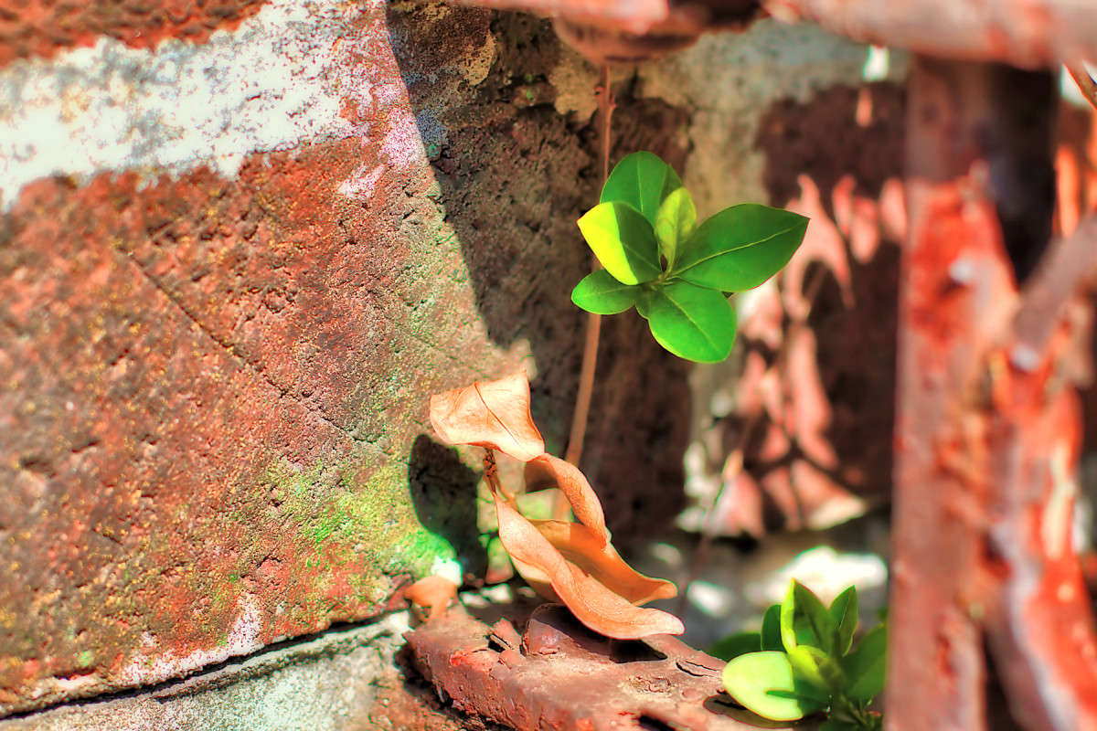 ������� �������������� �������� ����� ���� ��������� �� PhotoGeek.ru #����� #����� �������������� #���������������