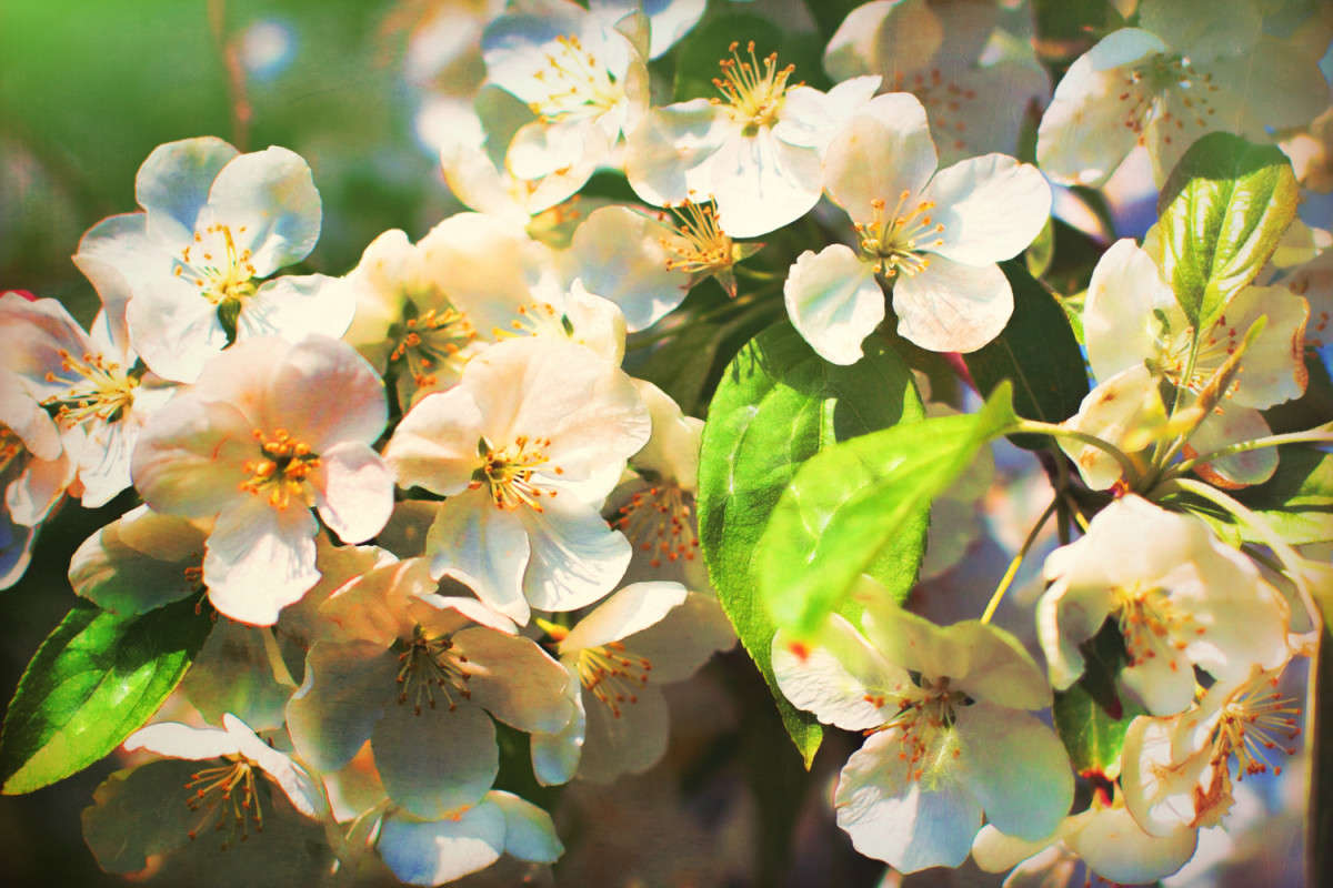 �������� 1 ����� ���� ��������� �� PhotoGeek.ru #������ ��� ������� #����� �������������� #��������� #������