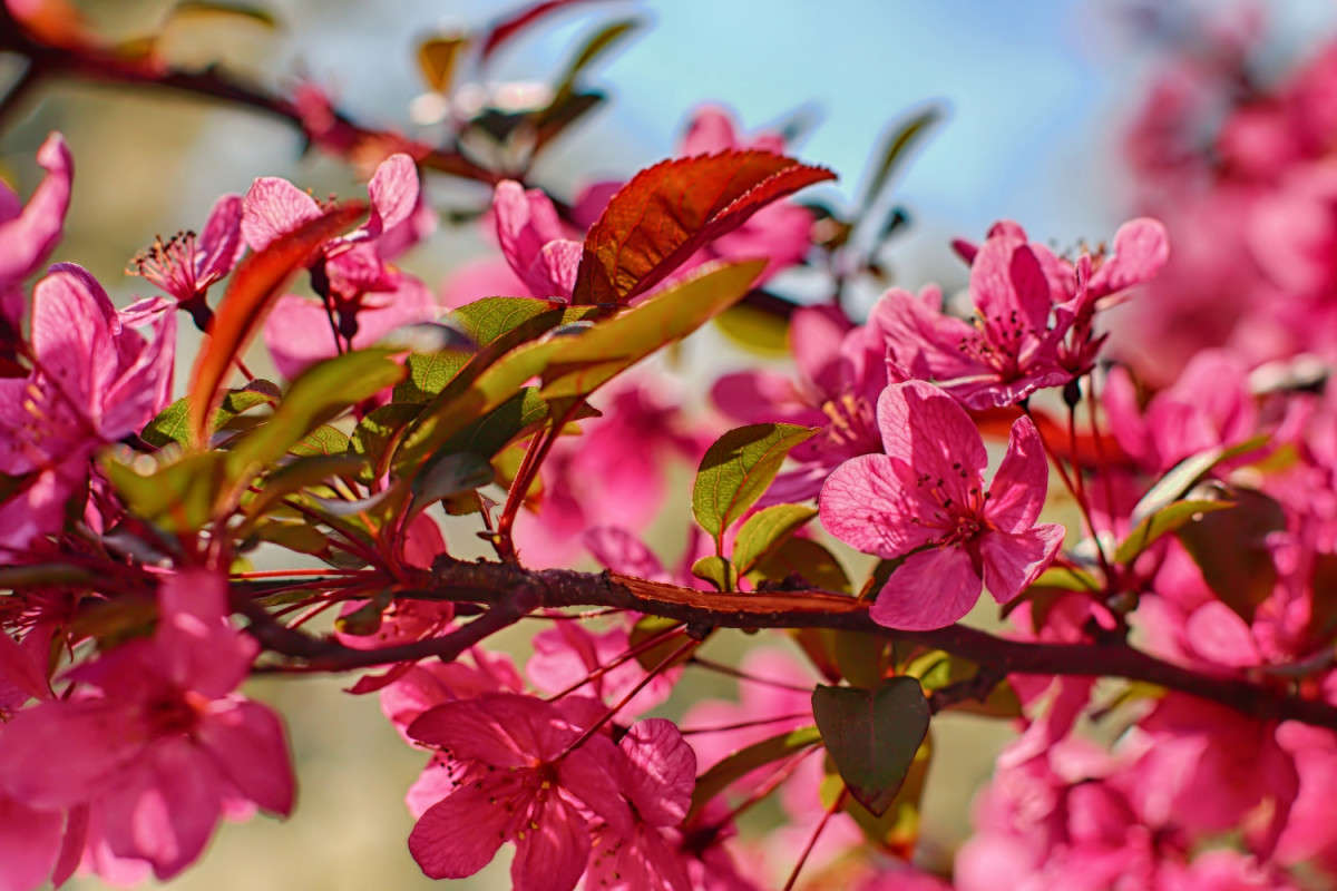 �������� 2 ����� ���� ��������� �� PhotoGeek.ru #������ ��� ������� #����� �������������� #���������