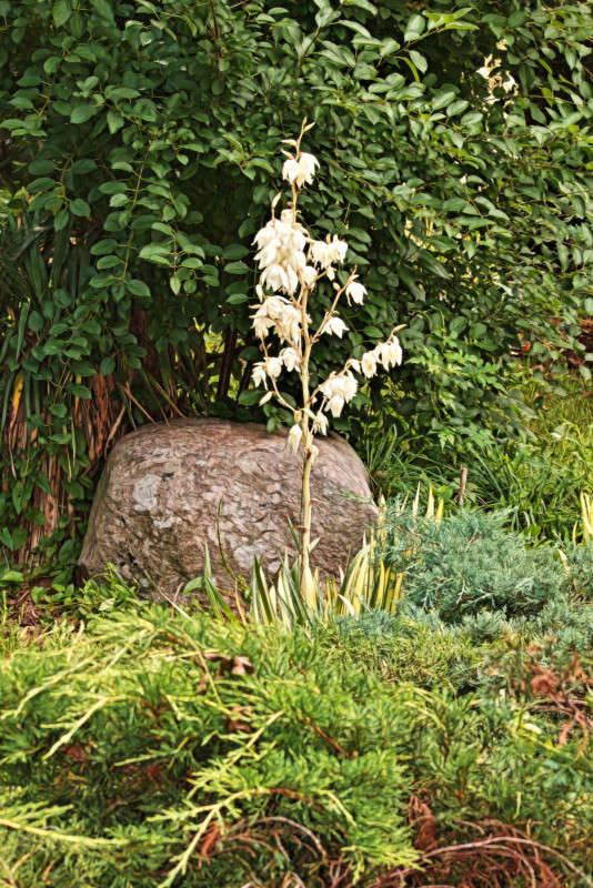 ������ ����� ���� ��������� �� PhotoGeek.ru #������ ��� ������� #����� �������������� #��������� #������