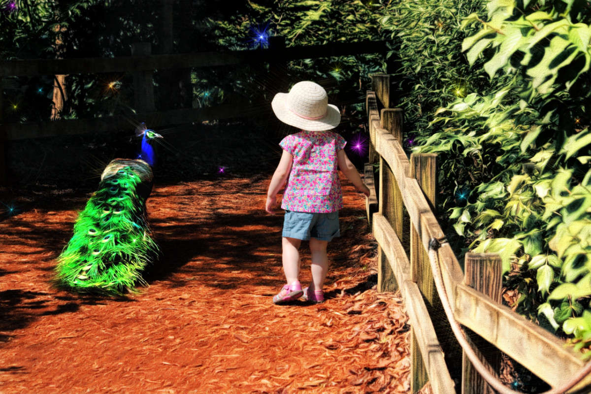 � ����� ������ ����� ���� ��������� �� PhotoGeek.ru #�������� ���������� #���-����������� #���������������