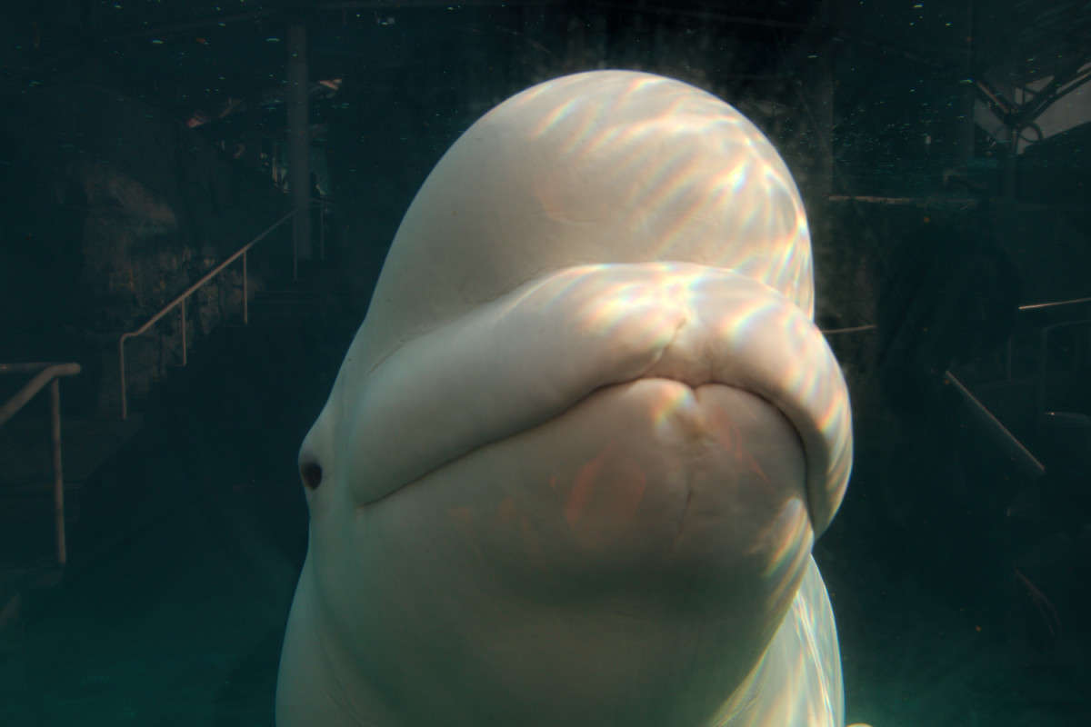 ������ ����� ����� ���� ��������� �� PhotoGeek.ru #�������� ��� #������ #������� ��������