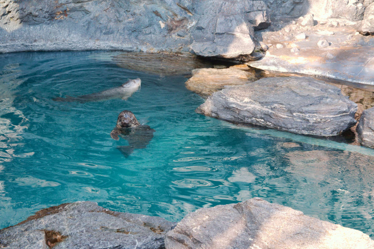 ����� ����� ���� ��������� �� PhotoGeek.ru #�������� ��� #������ #������� ��������