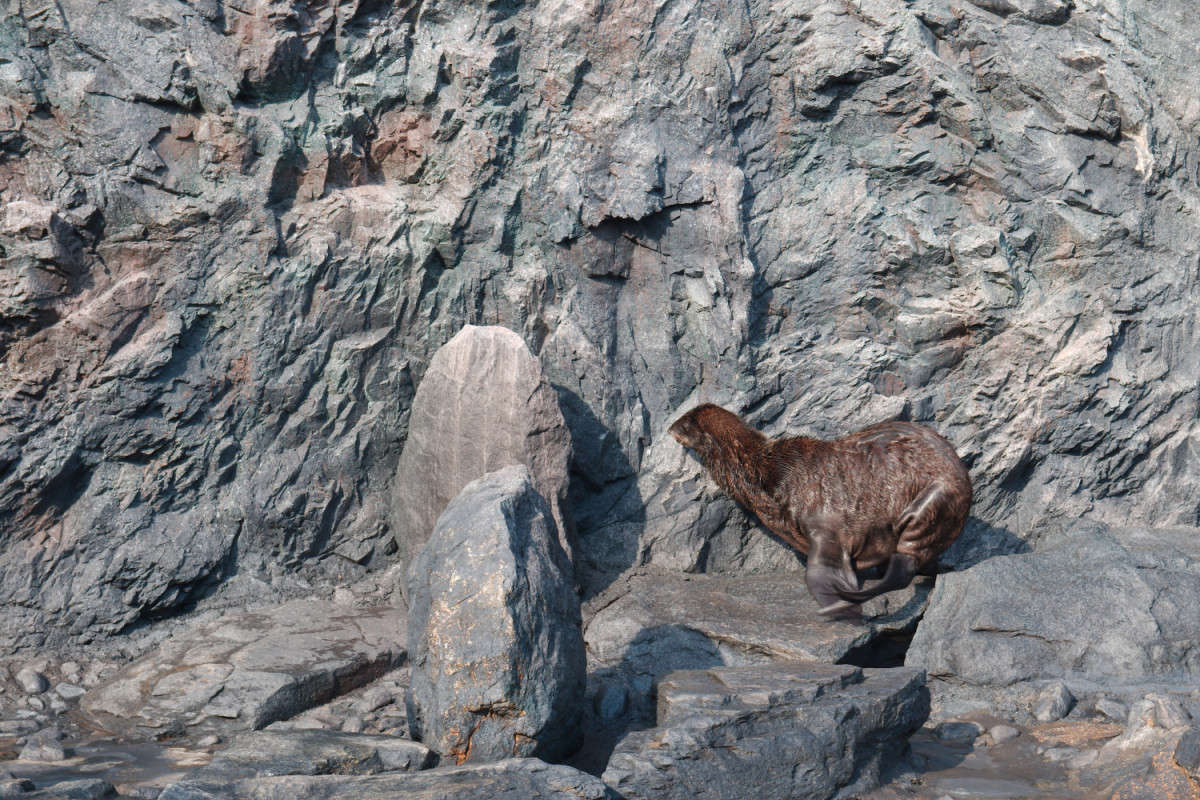 ����� ����� ���� ��������� �� PhotoGeek.ru #�������� ��� #������ #������� ��������