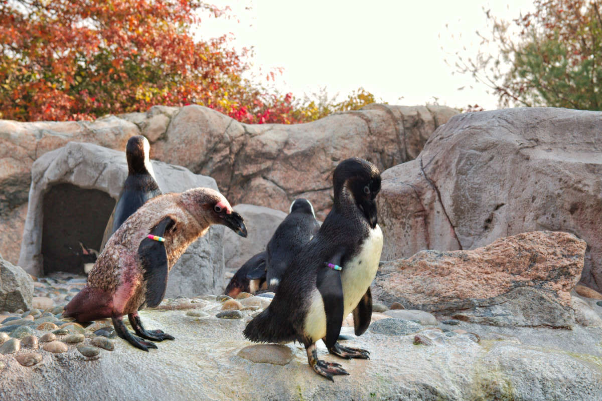 ���� � ���� ����� ���� ��������� �� PhotoGeek.ru #�������� ��� #������� ��������