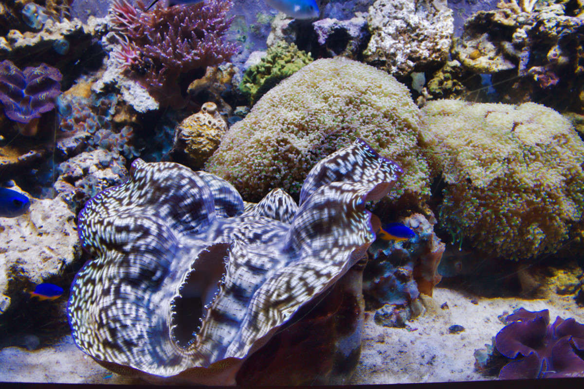 �������� ����� ���� ��������� �� PhotoGeek.ru #�������� ��� #�������������� #������� ��������