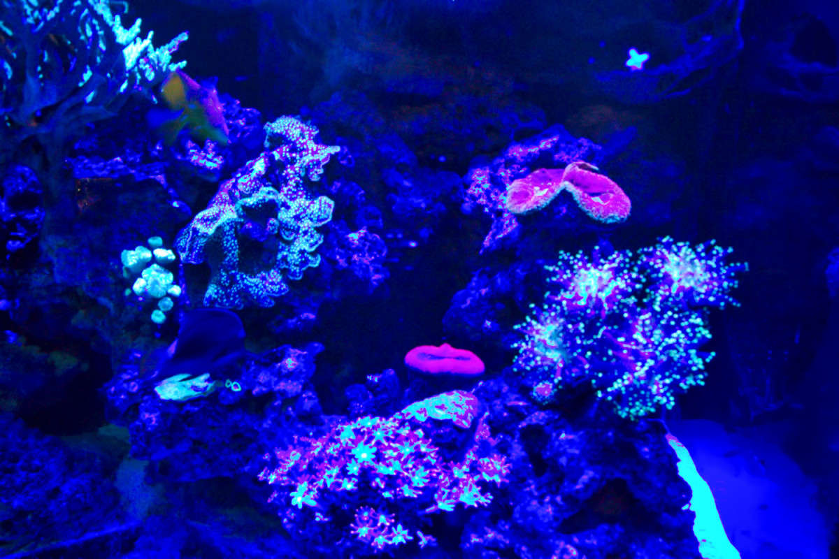 ���������� ����������� ����� ���� ��������� �� PhotoGeek.ru #�������� ��� #�������������� #������� ��������