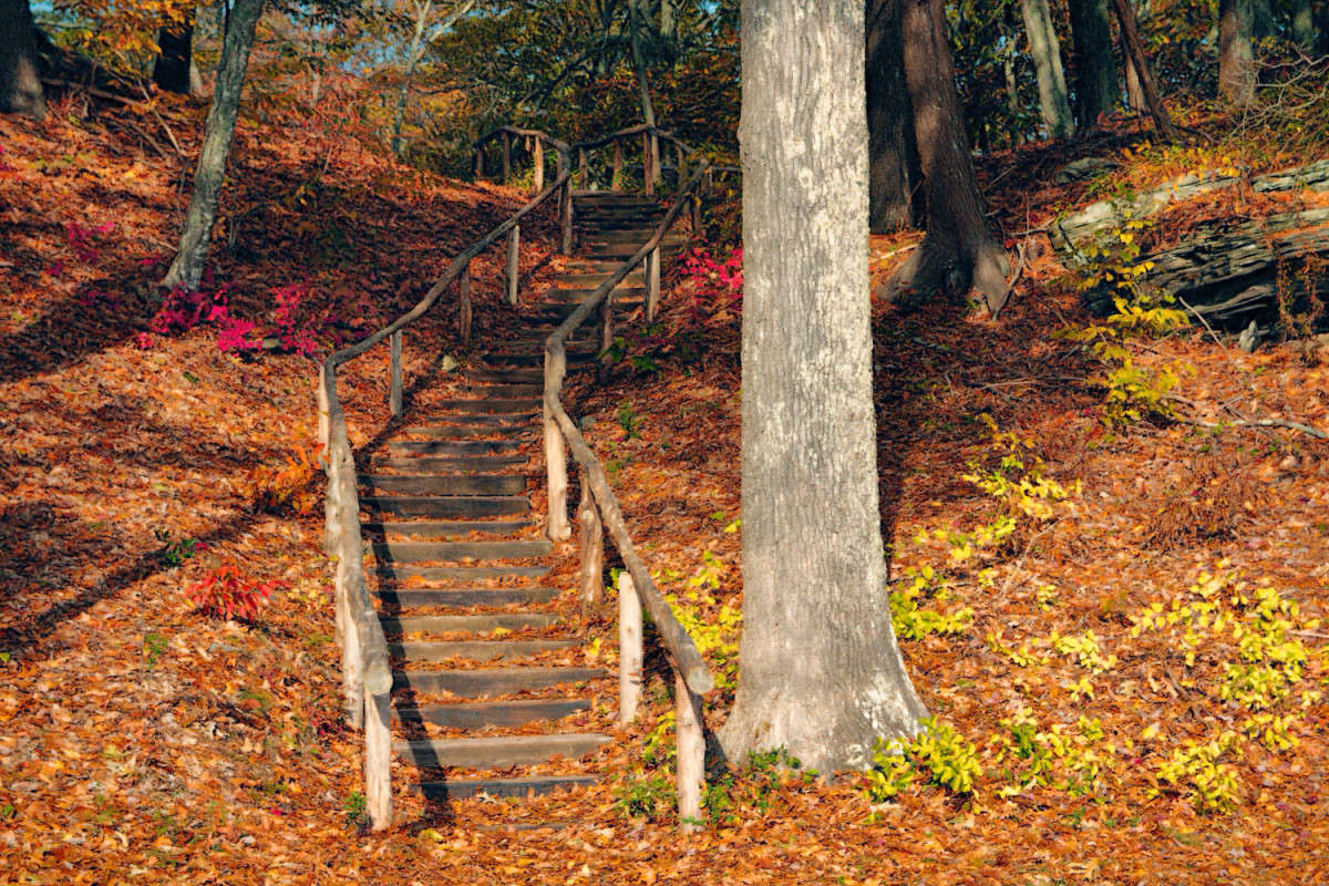 ������� ����� ���� ��������� �� PhotoGeek.ru #������ ��� ������� #����� �������������� #������ #����� ��������