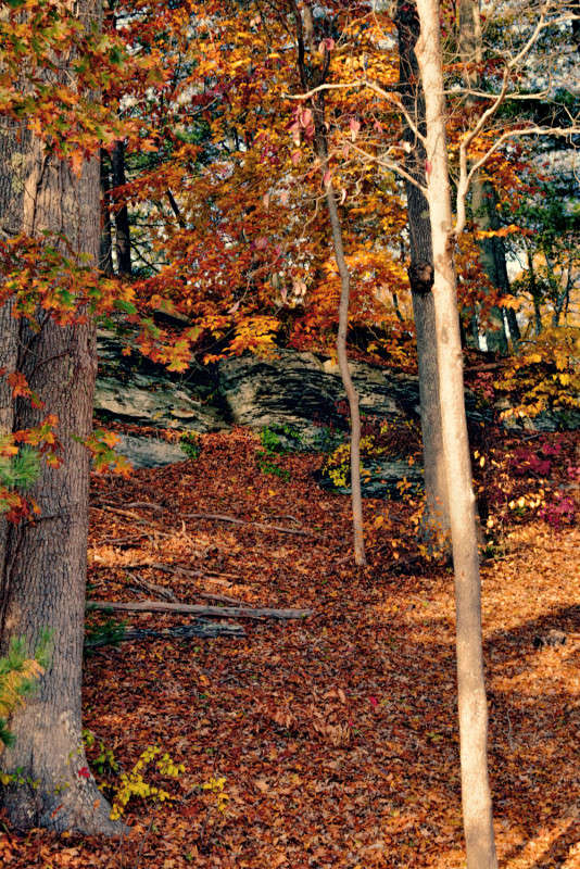 ������� ���� ����� ���� ��������� �� PhotoGeek.ru #������ ��� ������� #����� �������������� #������