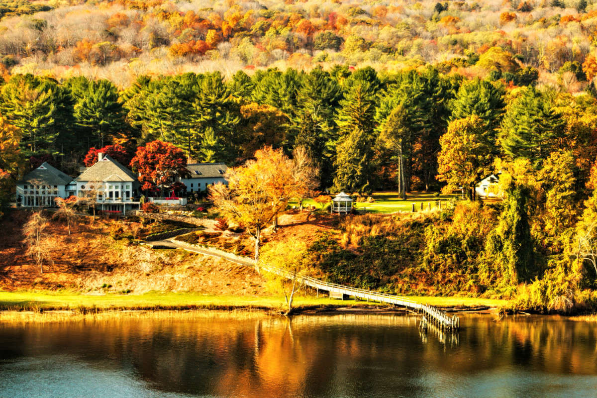 �������� ����� ���� ��������� �� PhotoGeek.ru #������ ��� ������� #��������� #������