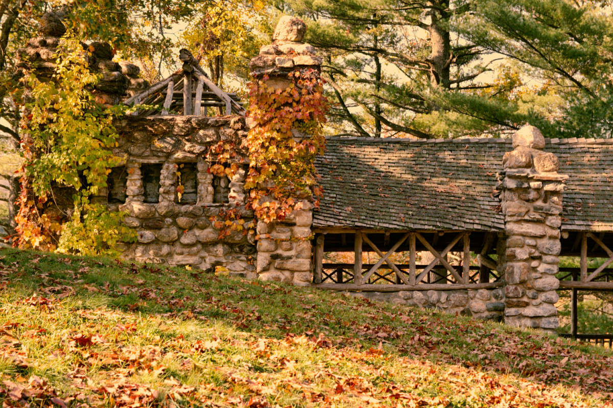 ����������� ��� ���-�������� ����� ���� ��������� �� PhotoGeek.ru #������ ��� ������� #����������� #��������� #����� ��������