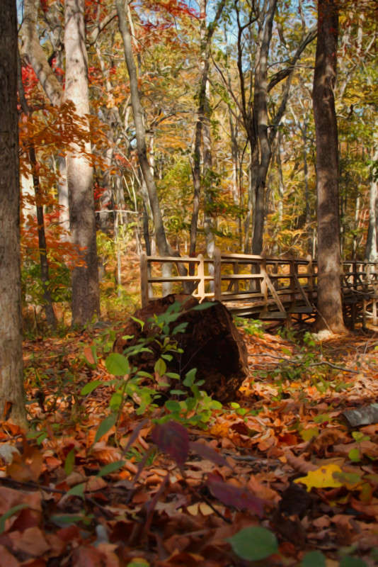 ������ ����� ���� ��������� �� PhotoGeek.ru #������ ��� ������� #����� �������������� #��������� #����� ��������