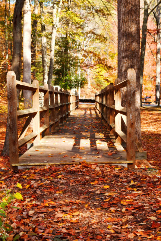 � ����� ������ ����� ���� ��������� �� PhotoGeek.ru #������ ��� ������� #������ #����� ��������