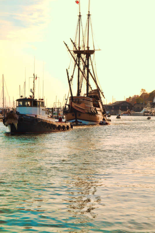 ������� ������� "Mayflower" ����� ���� ��������� �� PhotoGeek.ru #����� #������ ����