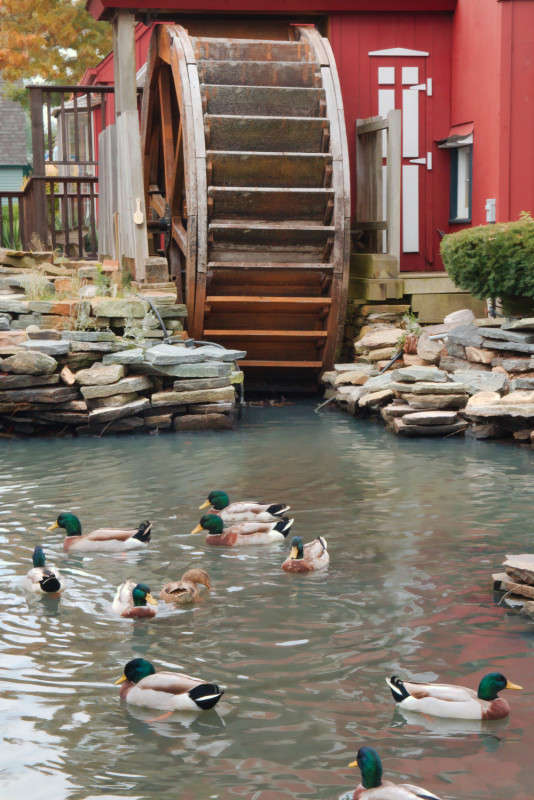 Mystic Village 8 ����� ���� ��������� �� PhotoGeek.ru #����� #������ ����