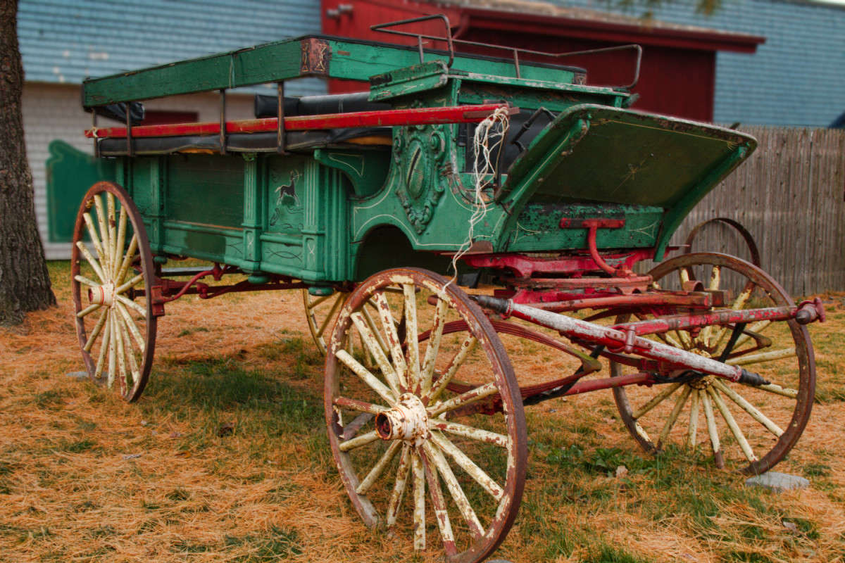 ���� �����-�� � �� ��������! ����� ���� ��������� �� PhotoGeek.ru #������ ���� #���������