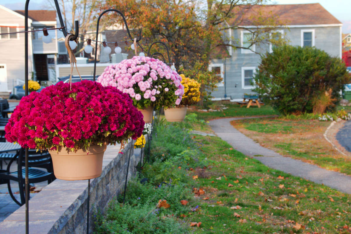 �� ����� ����� ���� ��������� �� PhotoGeek.ru #����� #����� ������ #������ ����