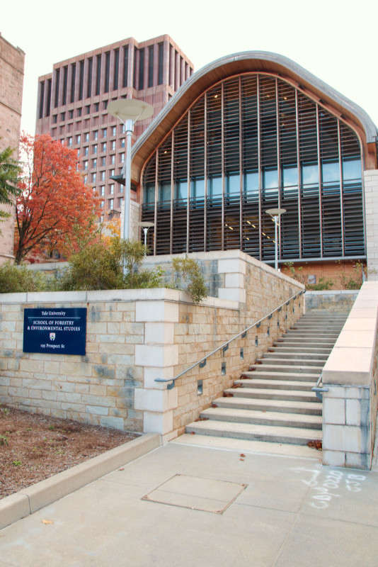 ����. ��������� ������� ���������. ����� ���� ��������� �� PhotoGeek.ru #����� #����������� #������ ���� #��������� ������