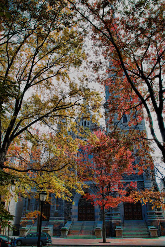 ����. ������ 5 ����� ���� ��������� �� PhotoGeek.ru #����� #����������� #������ ���� #��������� ������