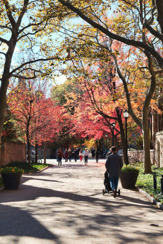 *** ����� ���� ��������� �� PhotoGeek.ru #����� #������ ���� #��������� ������