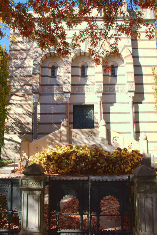 ���������������� ������� ����� ���� ��������� �� PhotoGeek.ru #����� #����������� #������ ����