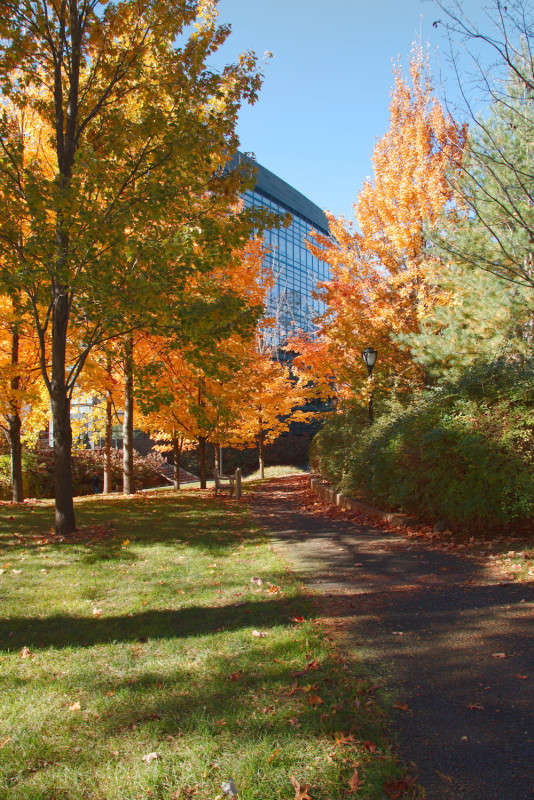 ������� ������� ����� ���� ��������� �� PhotoGeek.ru #����� #������ ���� #��������� ������