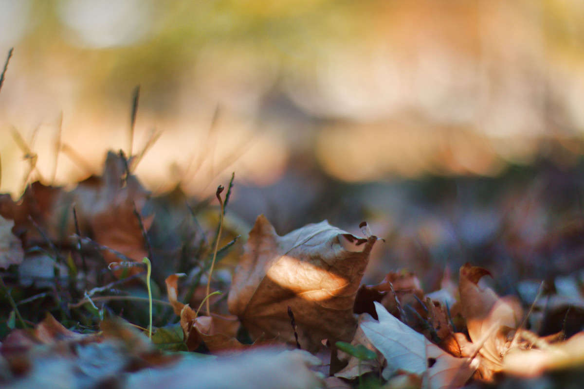 � ������ ����� ���� ��������� �� PhotoGeek.ru #������ ��� ������� #��������� #������