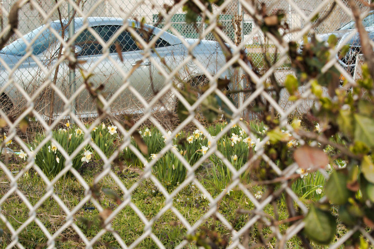 ����� �������� ������ ����� ���� ��������� �� PhotoGeek.ru #����� #������ ��� ������� #������ ���� #����� �������������� #���������