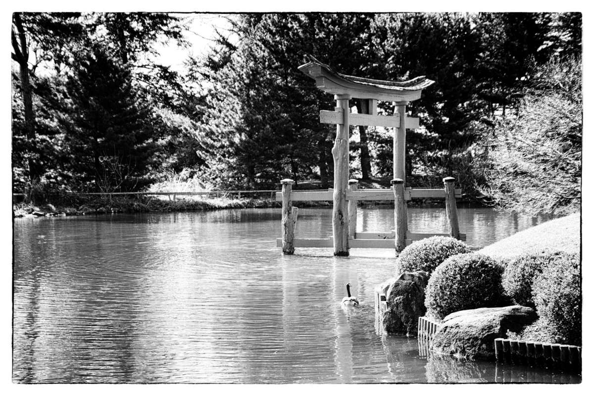 �������� ������ ����� ���� ��������� �� PhotoGeek.ru #������ ��� ������� #��������� #������ #�����-�����