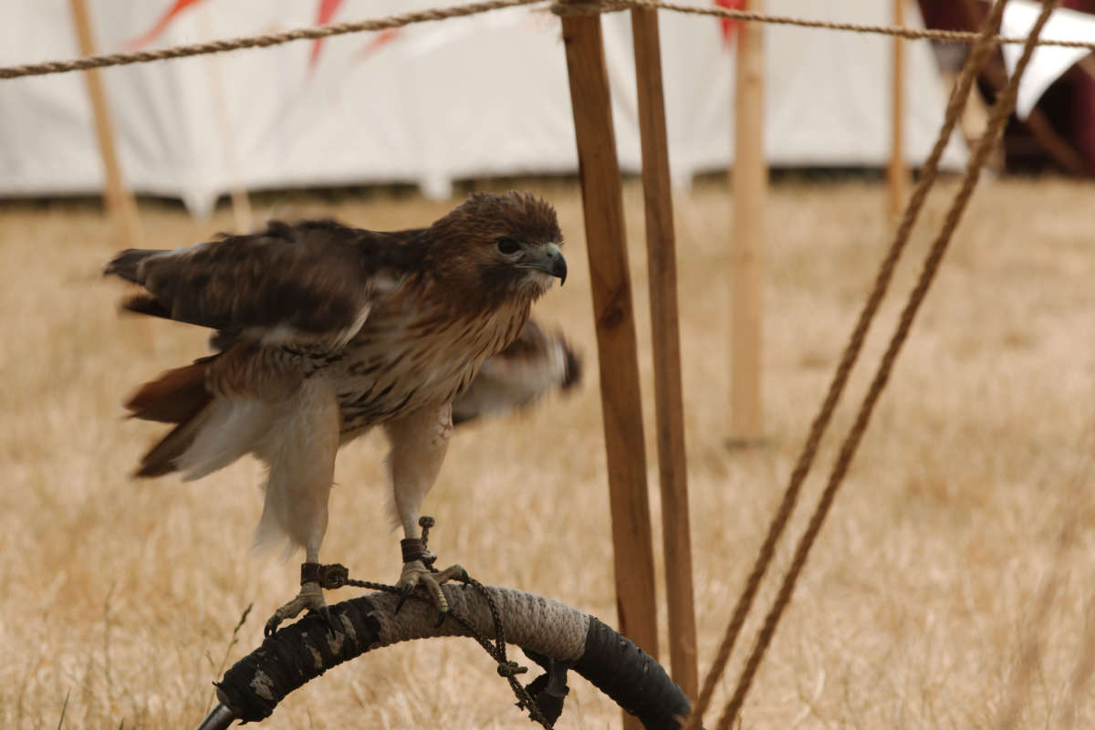 ������������� ������ ����� ���� ��������� �� PhotoGeek.ru #�������� ��� #����� #������