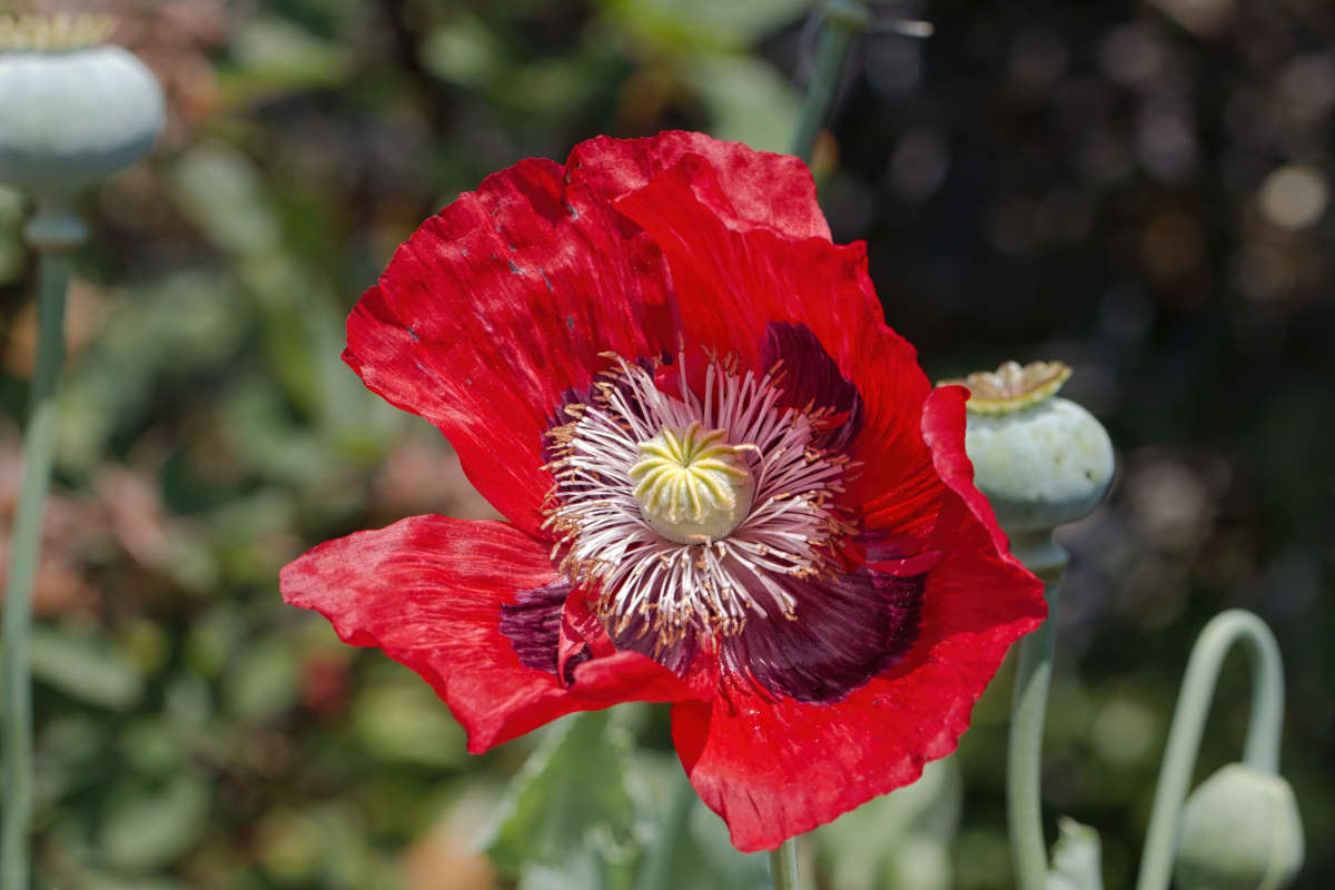 ��� ����� ���� ��������� �� PhotoGeek.ru #����� #������ ��� ������� #������������ ��� #����� ��������������