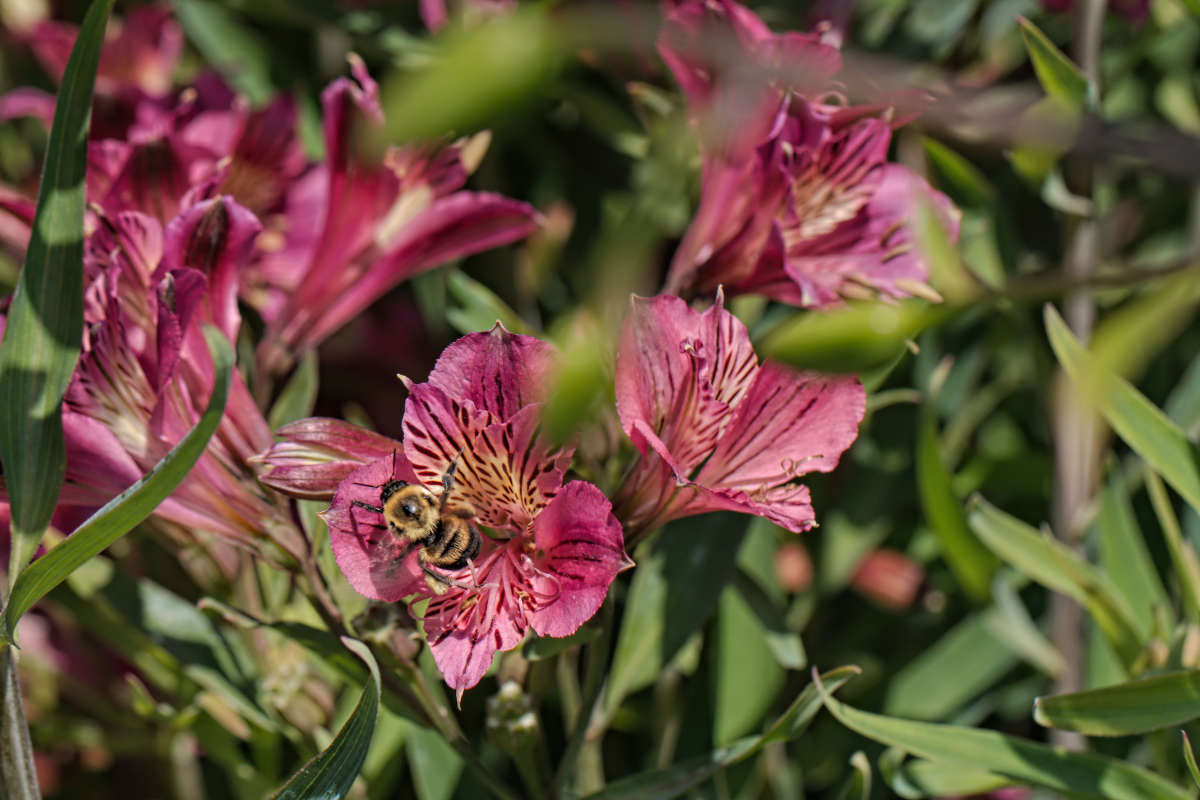 ������ ����� ���� ��������� �� PhotoGeek.ru #����� #������ ��� ������� #������������ ��� #����� ��������������