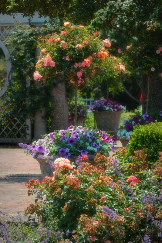 ... ����� ���� ��������� �� PhotoGeek.ru #������ ��� ������� #������������ ��� #����� �������������� #�����