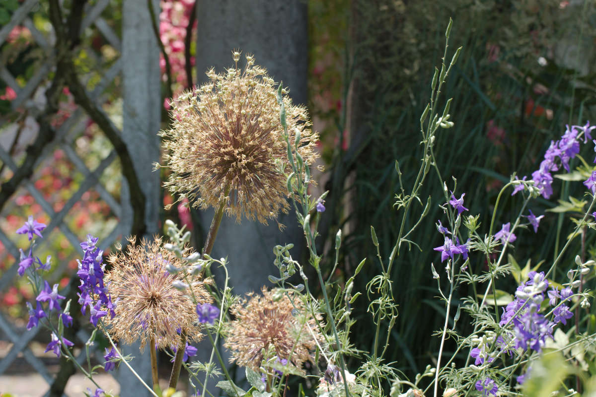 ... ����� ���� ��������� �� PhotoGeek.ru #������ ��� ������� #������������ ��� #����� �������������� #�����