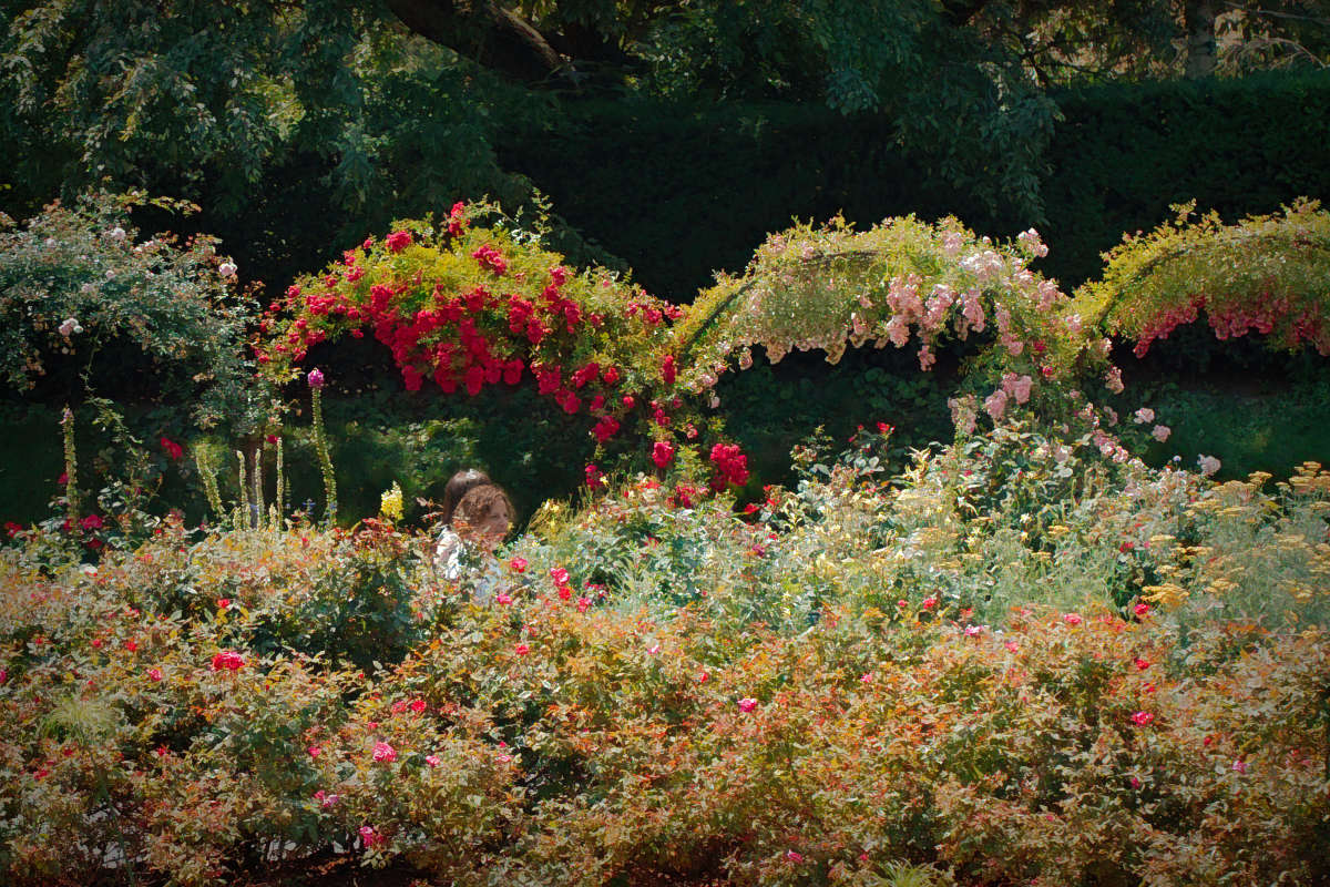 ... ����� ���� ��������� �� PhotoGeek.ru #������ ��� ������� #�������� ���������� #����� �������������� #���������������