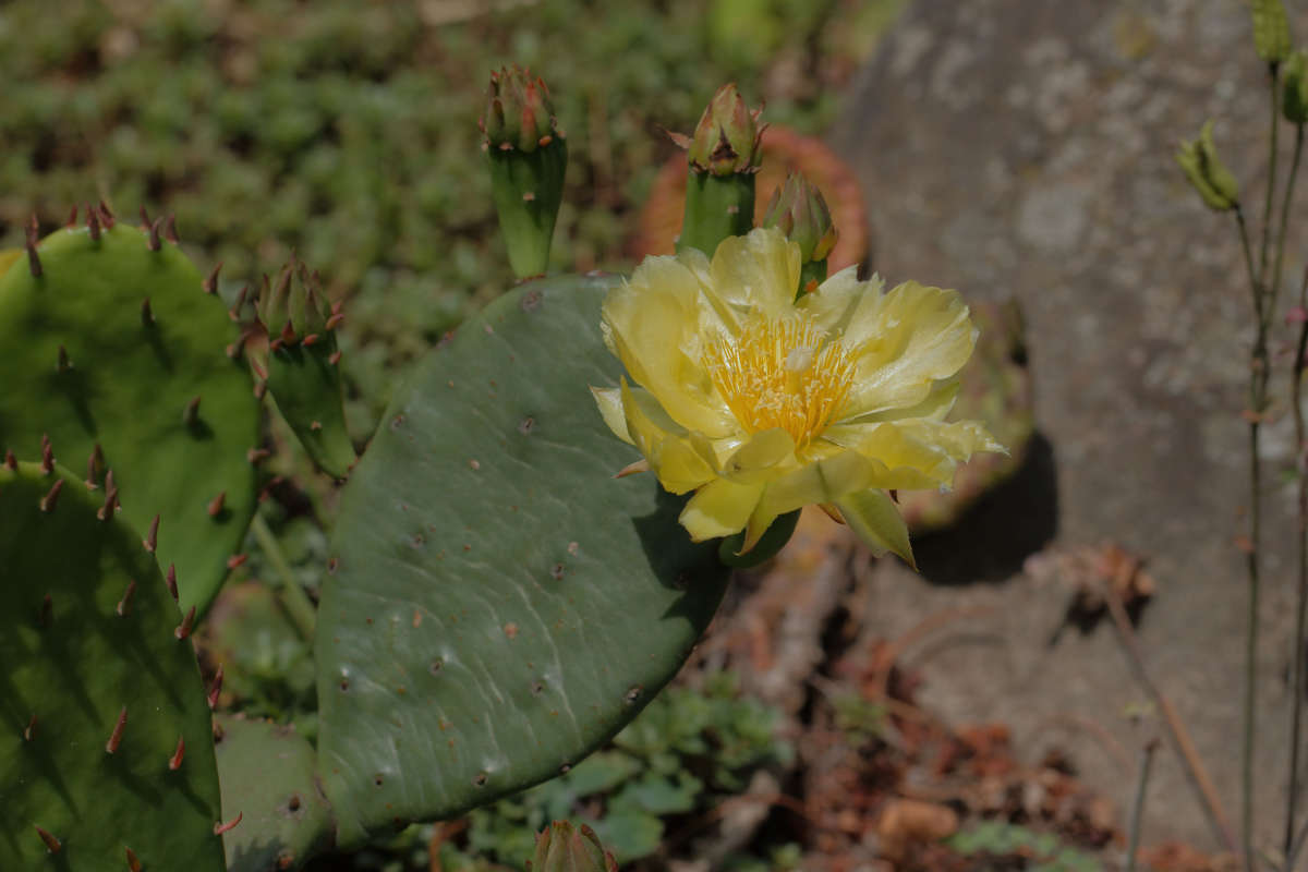 ������� ����� ����� ���� ��������� �� PhotoGeek.ru #������ ��� ������� #������������ ��� #����� �������������� #������ #���������