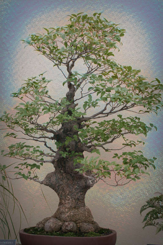 ������ ����� ���� ��������� �� PhotoGeek.ru #�������� #������������ �������� #���������